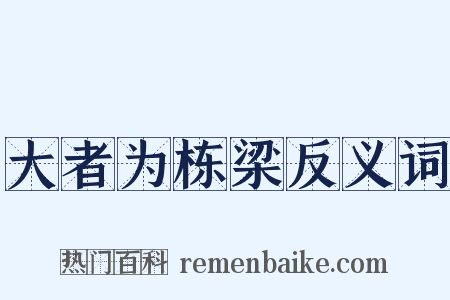 大者为栋梁反义词是什么意思的图片